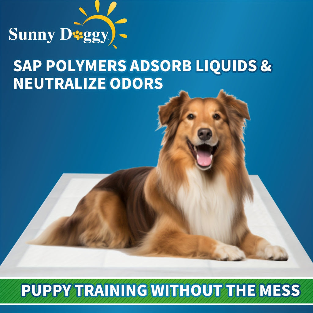 Dog Training Pads 36 x 36 Inches, 40 Count Disposable Absorbent Puppy Pee Pads with Odor Control and Leak Protection for Indoor Housebreaking