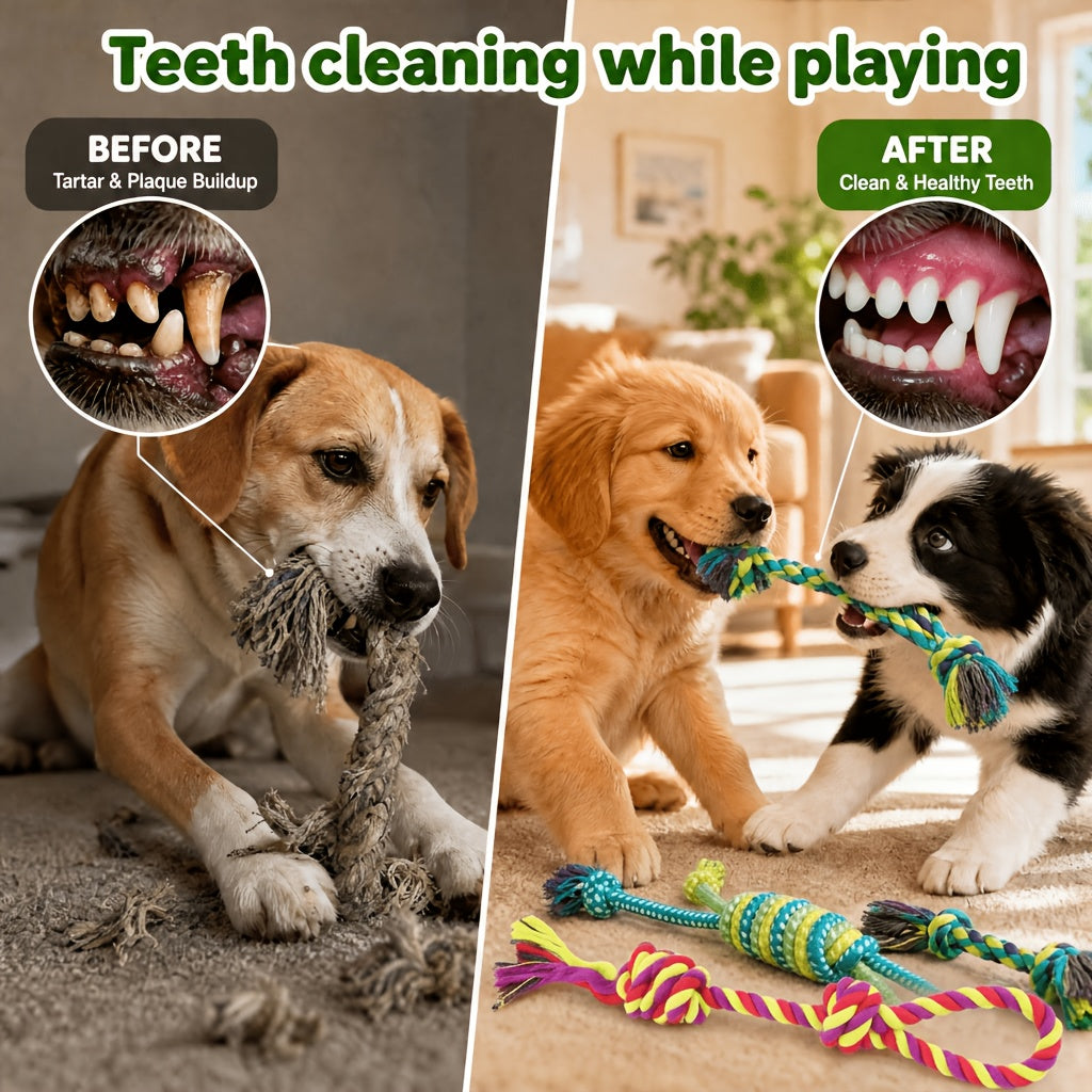Plush Dog Toys 10 Pack Model C, Squeaky Stuffed Animal Puppy Toy Set for Small and Medium Dogs, Supervised Gentle Chewing and Indoor Playtime Rotation