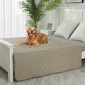 Washable Dog Blanket for Couch and Bed, Reversible Reusable Pet Furniture Protector for Puppies, Large Dogs and Cats, Single Pack
