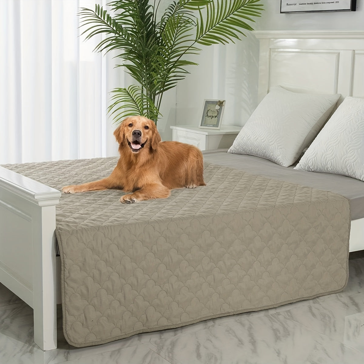 Washable Dog Blanket for Couch and Bed, Reversible Reusable Pet Furniture Protector for Puppies, Large Dogs and Cats, Single Pack