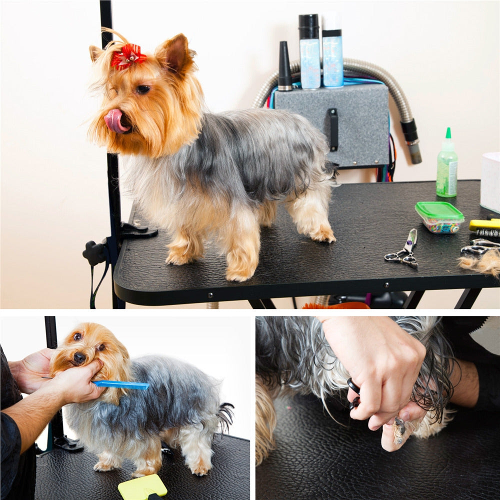 Dog Grooming Table with Folding Legs and Height Adjustable Arm for At-Home Dog and Cat Trimming, Coat Care and Pet Salon Grooming