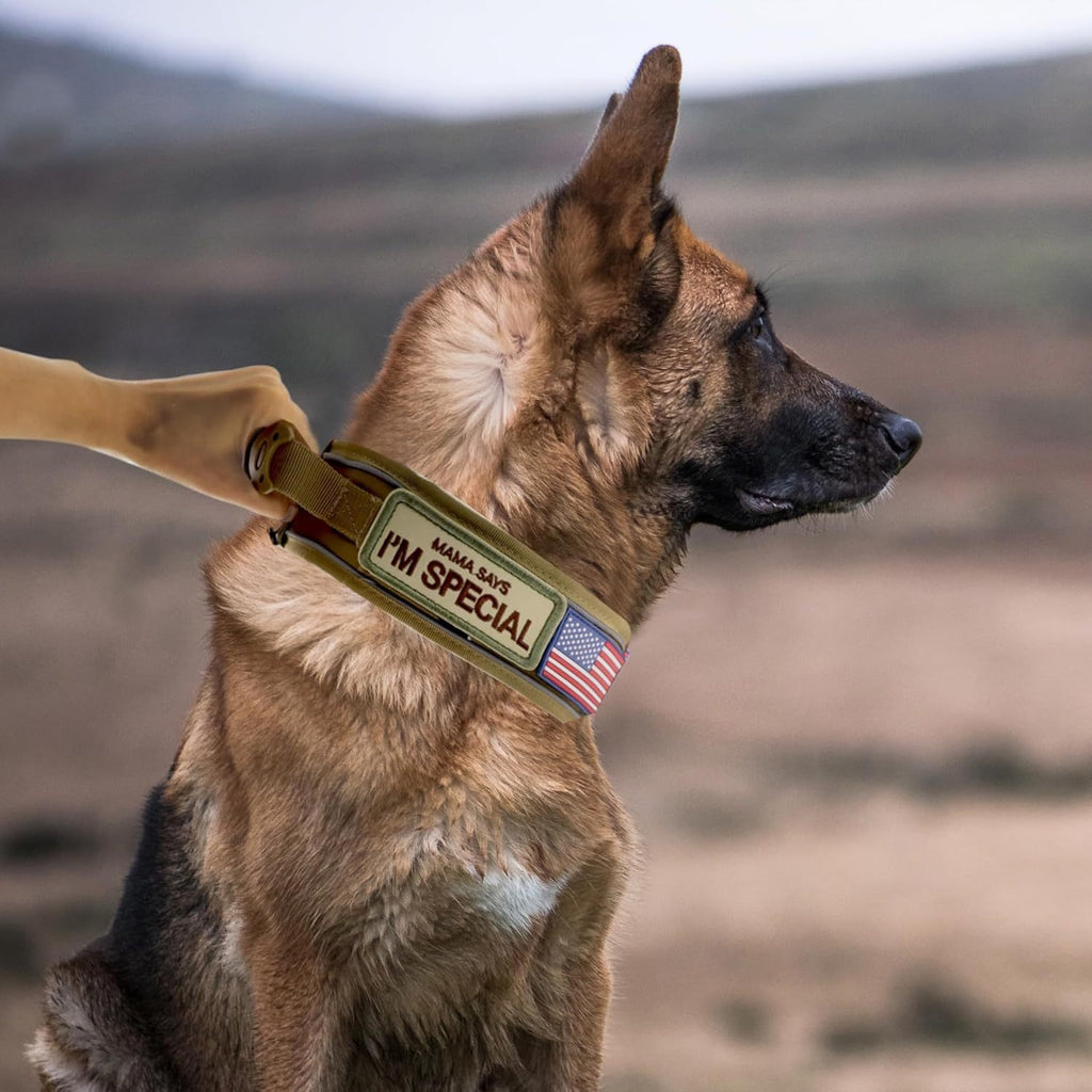 Tactical Dog Collar 2.6 Inch Wide with Padded Control Handle, Reflective Adjustable Nylon and Mesh Collar with Metal Buckle and 2 Patches, M L XL