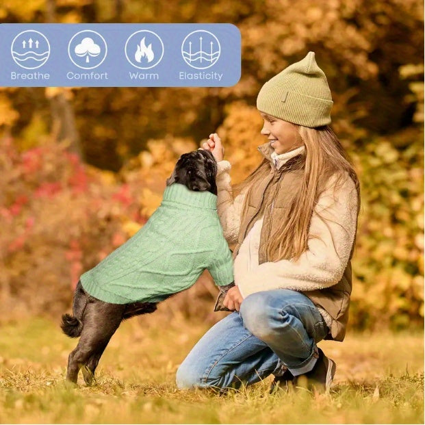 Turtleneck Dog Sweater for Small and Medium Dogs, Warm Pet Clothing in Yellow-Green, Orange Red, Fuchsia or Blue with XS to XL Size Options