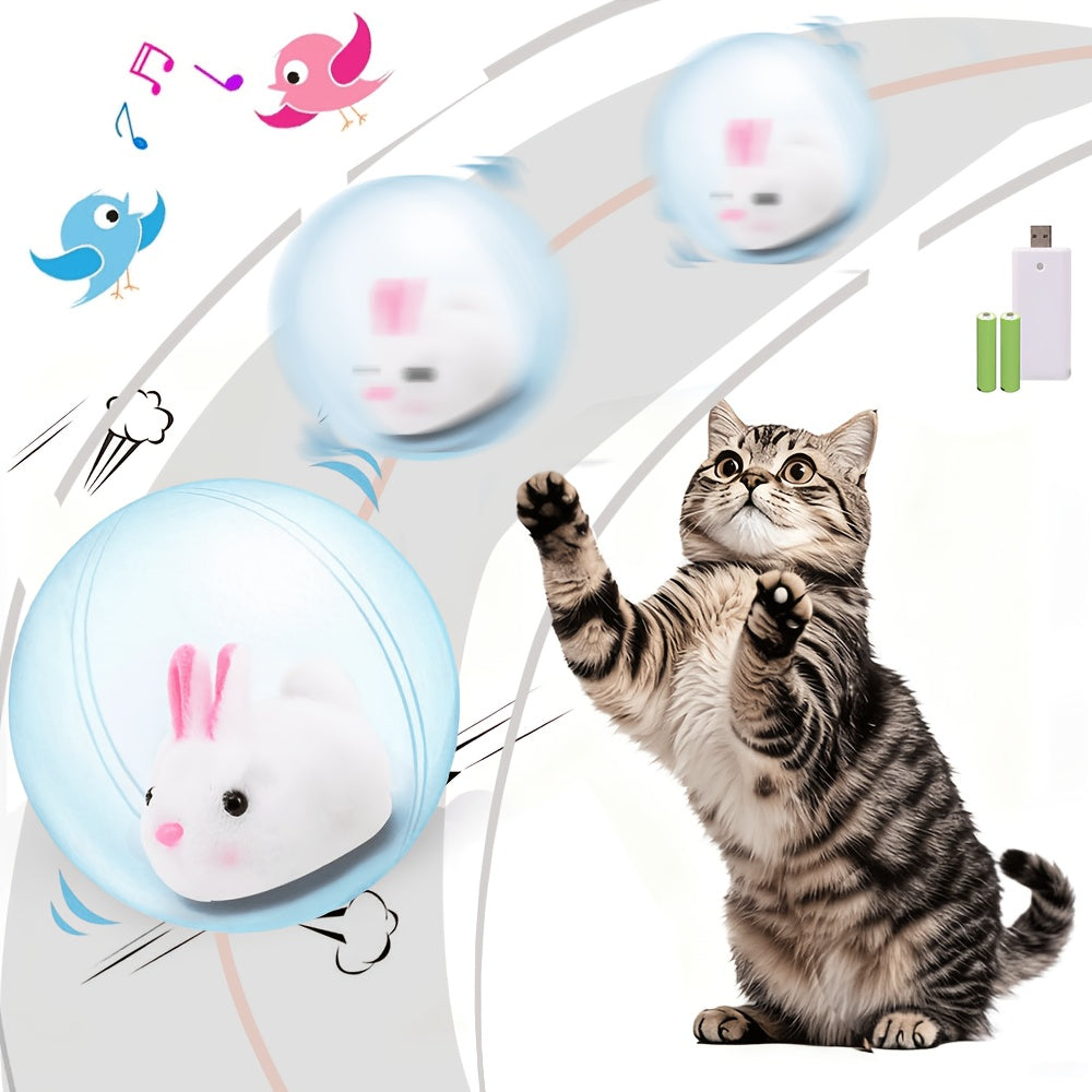 Rechargeable Cat Toy Ball with Motion Activated Movement, Automatic Indoor Chase Toy in Blue or Pink with Rabbit or Squirrel Style Options
