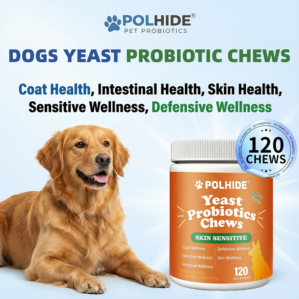 Meat Flavor Dog Probiotic Soft Chews, 120 Count Yeast Probiotic Supplement with Coat and Intestinal Care Labeling for Canine Wellness Routines