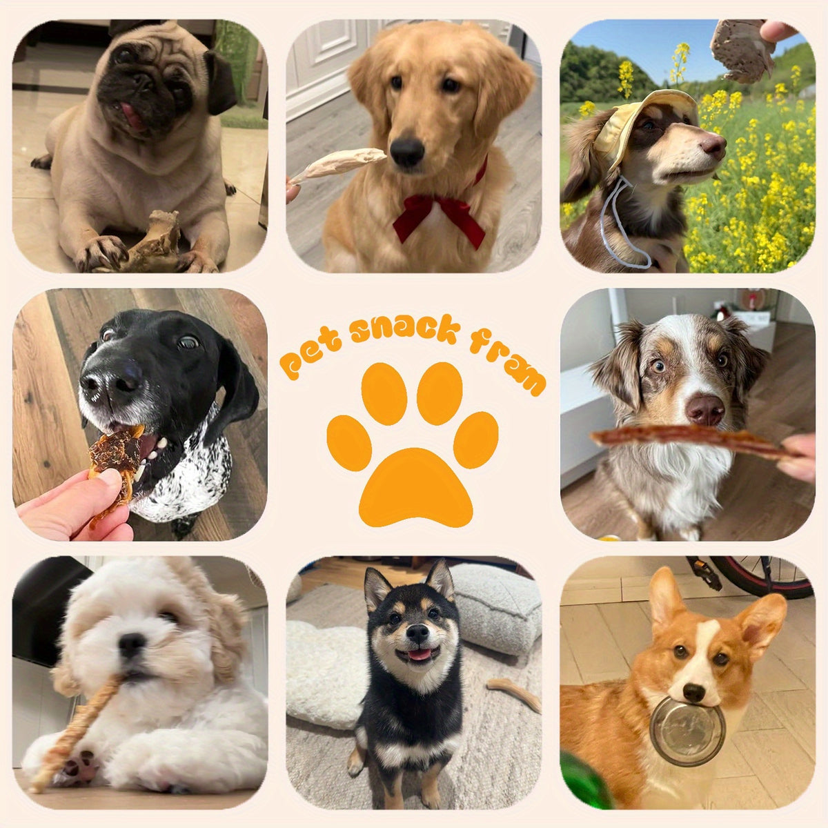 Assorted Dog Reward Treats, Chicken and Duck Combo, Yolk Wrap and Bone Bites Options for Supervised Training, Daily Snacks and Dog Gift Baskets