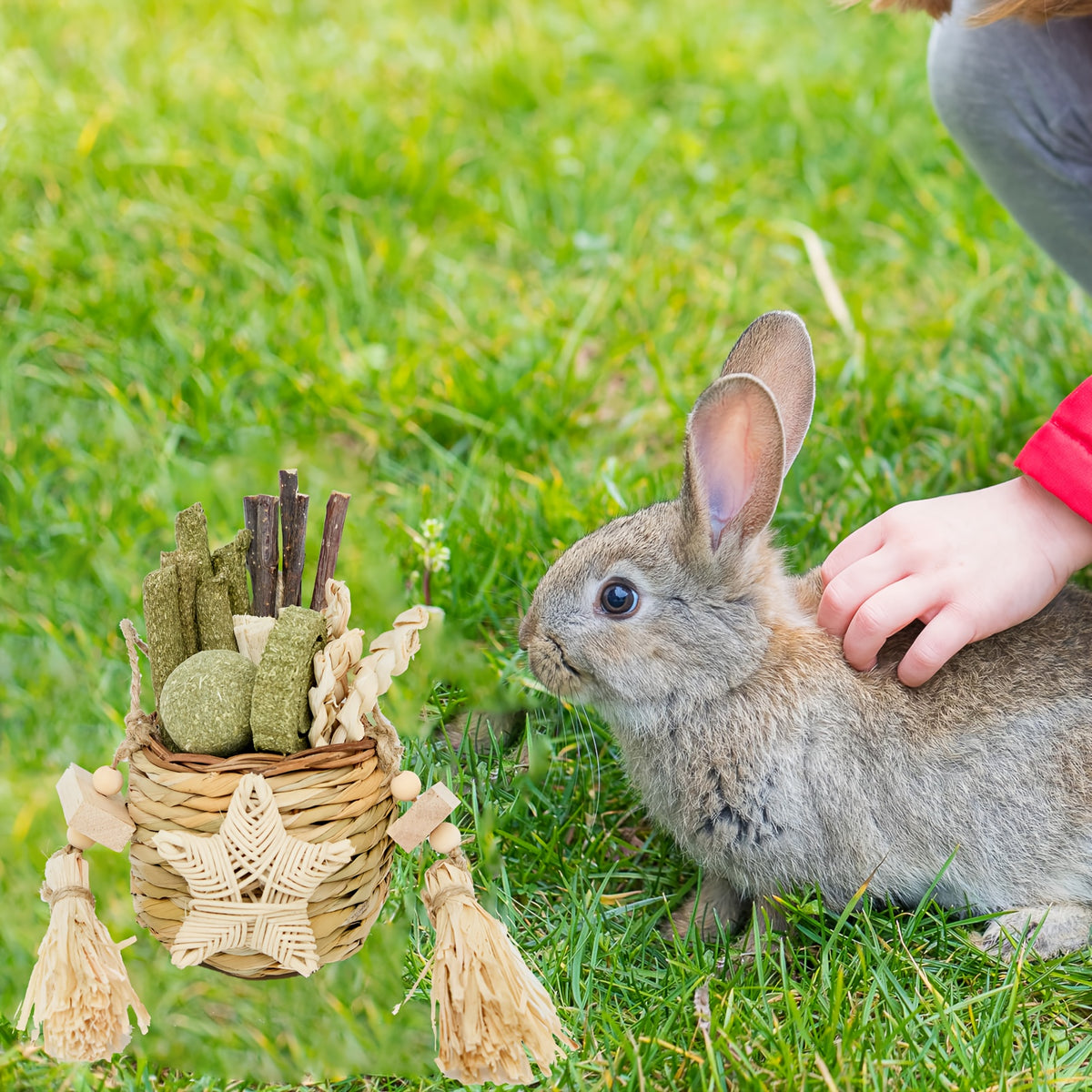 Rabbit Chew Toys with Sweet Bamboo and Timothy Hay Sticks, Basket Pack of 2 for Bunnies and Hamsters, Supervised Small Pet Enrichment and Play