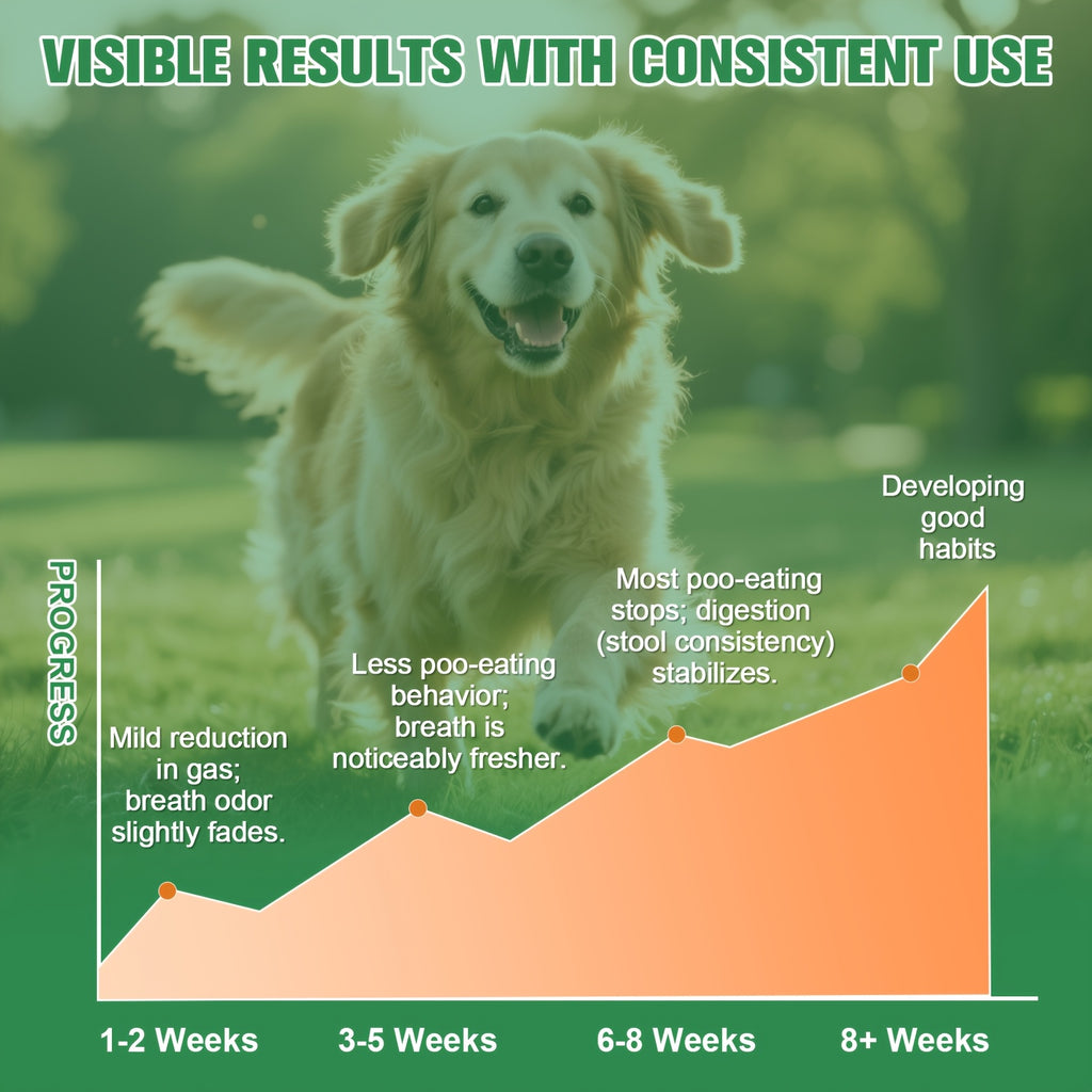 No Poo Chews for Dogs, 150-Count Coprophagia Deterrent Supplement with Probiotics, Digestive Enzymes and Pumpkin Powder, 300g