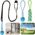 Dog Bungee Tug Toy Set for Small and Medium Dogs, Tree Hanging Tether with Two Chew Ropes and Puzzle Ball for Interactive Backyard Play