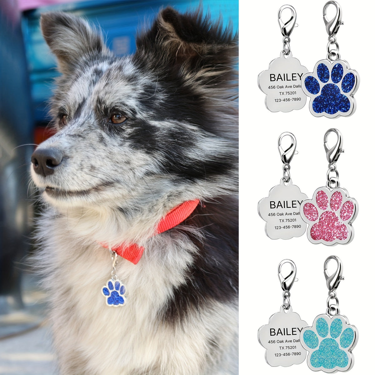 Engraved Pet ID Tag for Dogs and Cats, Personalized Name and Phone Number Identification in Blue or Pink for Daily Walks and Travel