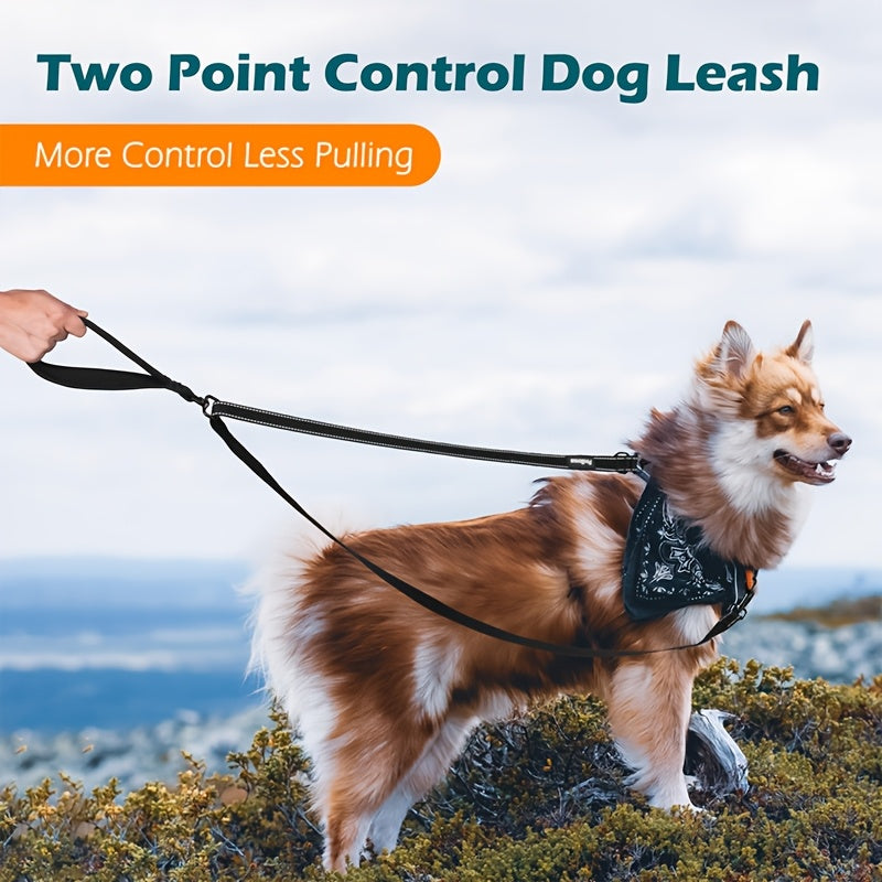 Reflective Double Dog Leash for Medium and Large Dogs, No-Pull Training Walking Lead for Daily Neighborhood Walks and Outdoor Routines