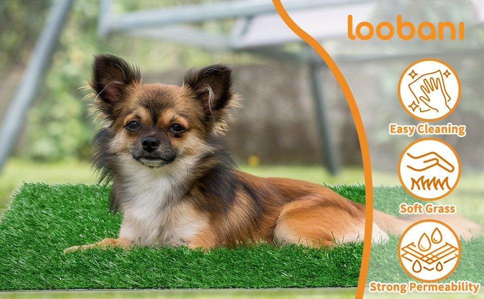 Dog Potty Grass Pad with Drainage Holes, Washable Artificial Turf for Indoor and Outdoor Puppy Training, 39 x 24.4 Inch or Smaller 2-Pack Options