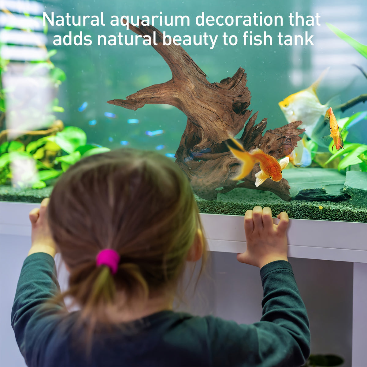Fish Tank Driftwood 13-16 Inch Single Piece, Natural Wood Aquarium Decor with Unique Texture for Aquascaping and Reptile Habitat Layouts