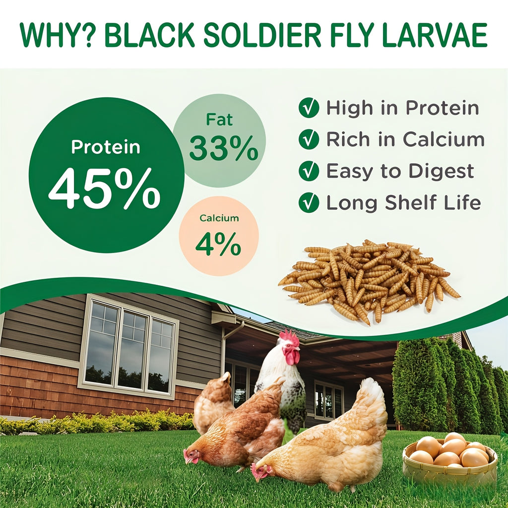 Black Soldier Fly Grubs 10 lb, Dried Larvae Chicken Treats for Backyard Flocks, Ducks and Wild Birds, Bulk Insect Snacks for Foraging Routines