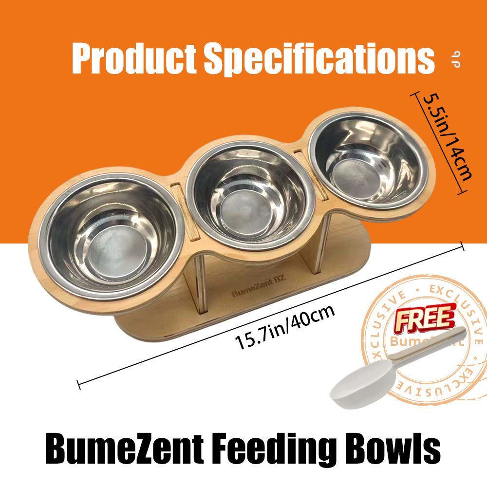 Elevated Cat Bowl Set with Spoon Option, Stainless Steel Food and Water Bowls on Stand for Cats, Kittens, Puppies and Small Pets at Home