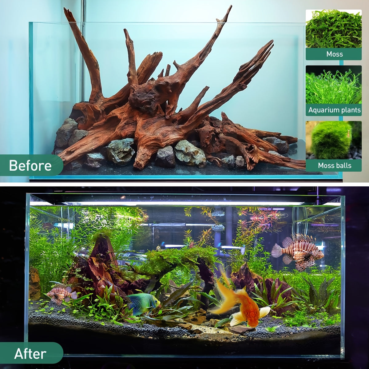 Extra Large Aquarium Driftwood 2-Pack, 14–18 Inch Natural Wood Decor for Fish Tank Aquascapes, Reptile Terrariums and Air Plant Displays