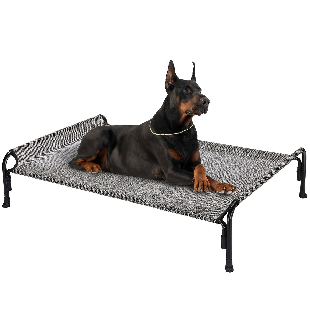 Elevated Dog Bed with Sloped Headrest, Breathable Raised Pet Cot in M to XXL Sizes for Indoor Lounging, Outdoor Rest and Camping