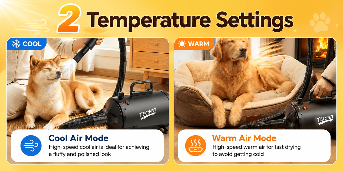 Dog Blow Dryer 2000W with Adjustable Speed and Temperature, Pet Grooming Hair Dryer with 4 Nozzles and Extendable Hose in Four Colors