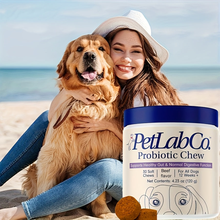 Beef Flavor Dog Probiotic Chews, 30 Soft Chews per Jar with Probiotics and Prebiotics for Canine Supplement Routines, 1 or 3 Pack
