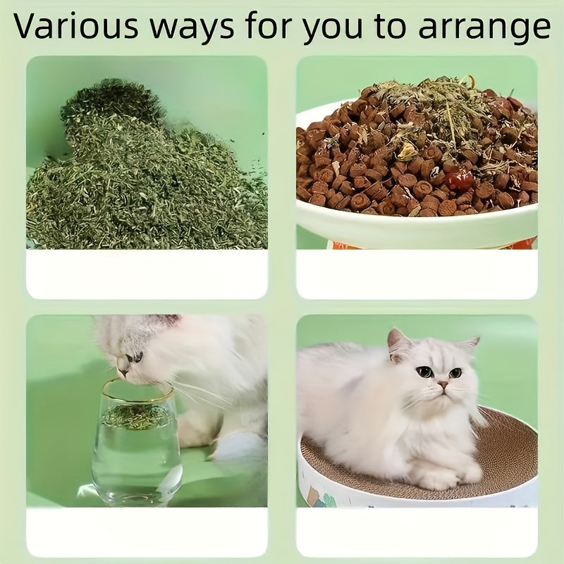 Catnip Leaves for Cats 100g / 3.5oz, Cat Herb Pack for Supervised Indoor Cat Routines, Cat Owner Essentials and Holiday Gift Baskets