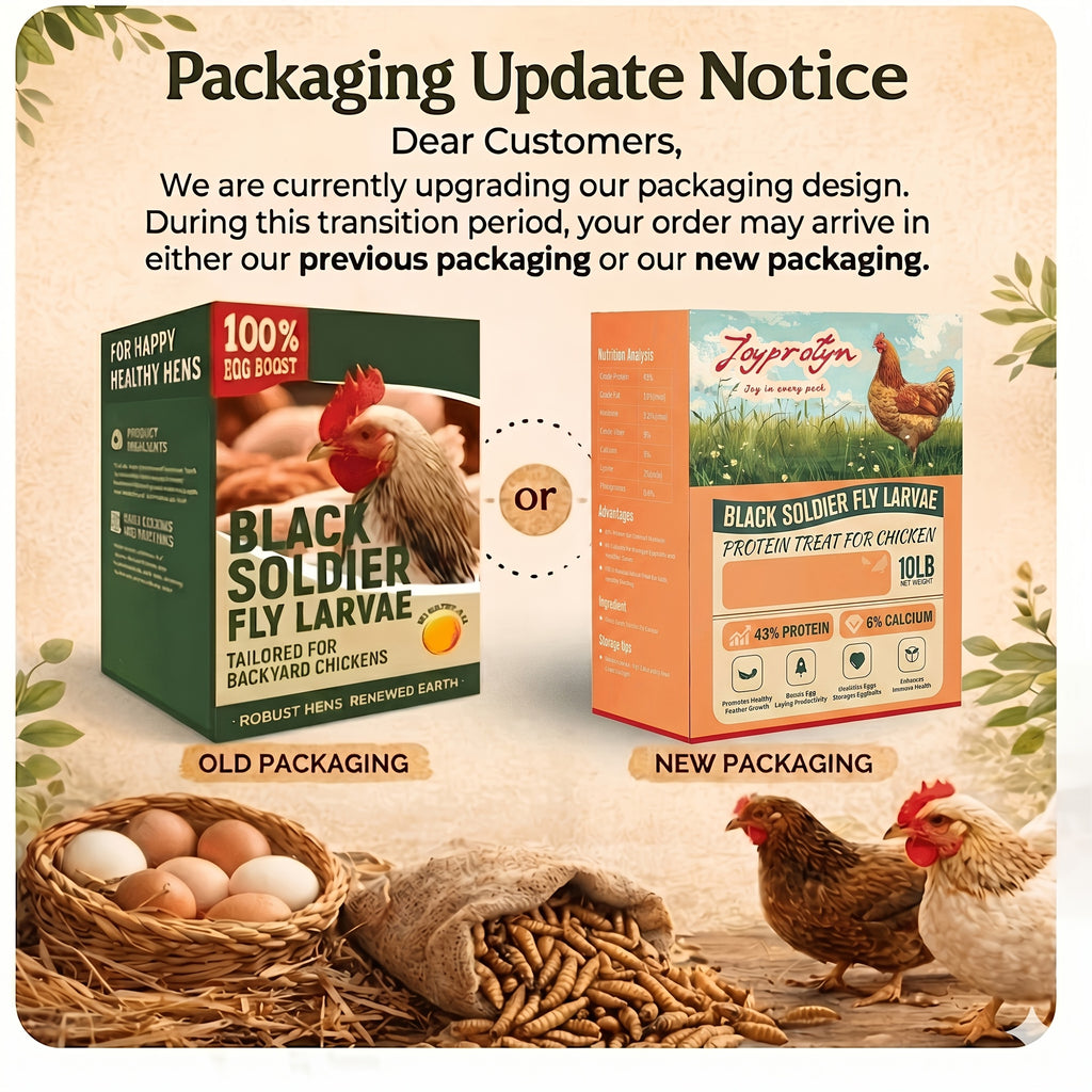Black Soldier Fly Larvae for Chickens, Dried Insect Treats with 43% Protein and 6% Calcium for Backyard Hens, Ducks and Quail, 2 5 or 10 lb