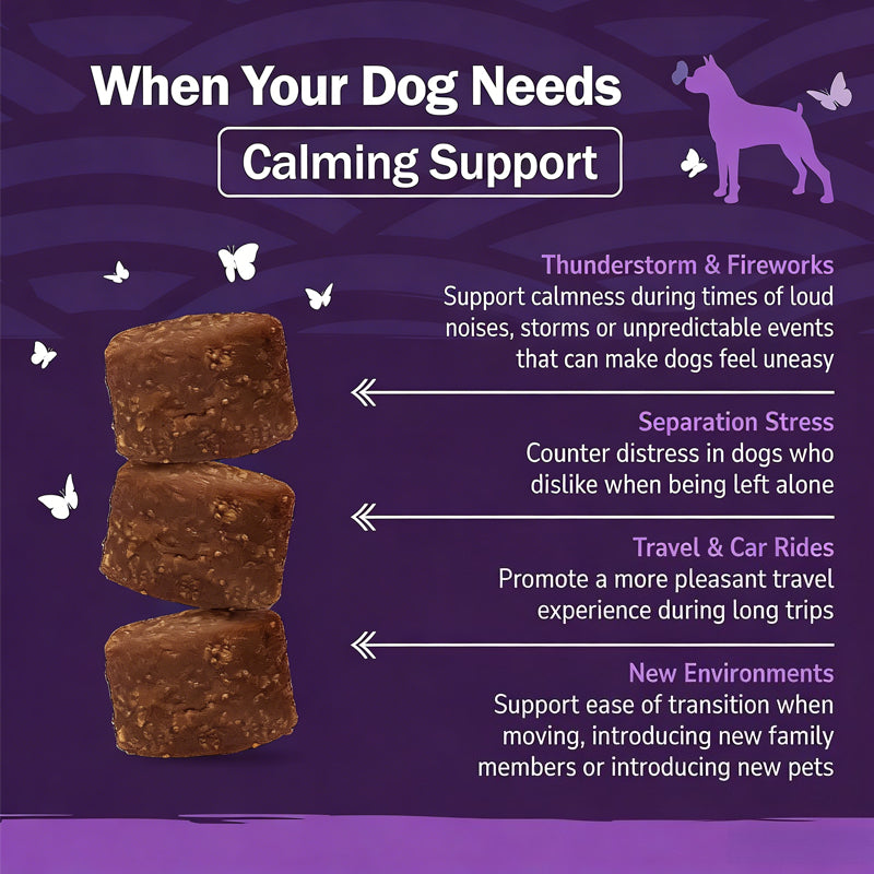 Pet Calming Soft Chews in Chicken Flavor, Bagged Supplement for Dogs and Cats with 1 or 2 Piece Options for Owner-Managed Wellness Routines