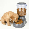Gravity Pet Dispenser for Food or Water, Battery-Free Feeder or 1 Gallon Waterer with Clear Reservoir for Cats and Small to Medium Dogs, Three Colors