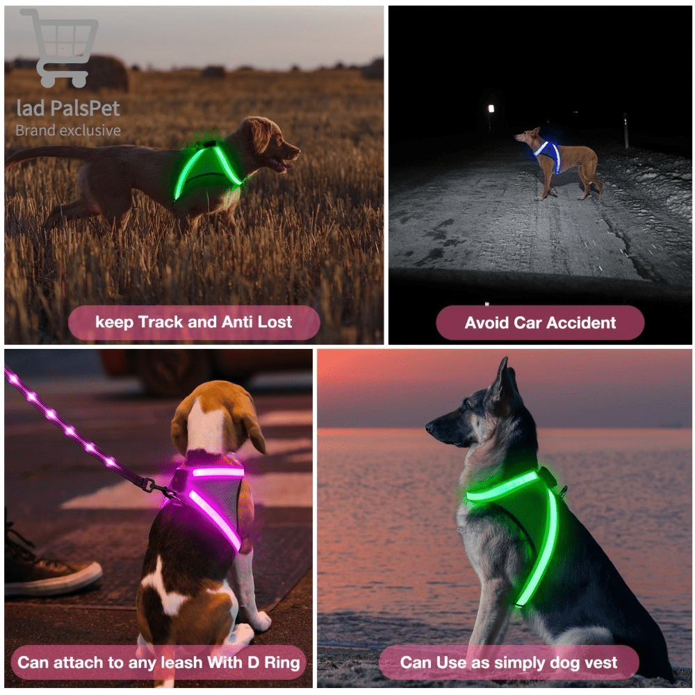 LED Dog Vest with 8 Lighting Modes, Rechargeable Mesh Light Up Walking Vest with Reflective Design and Changeable Color, XS to L