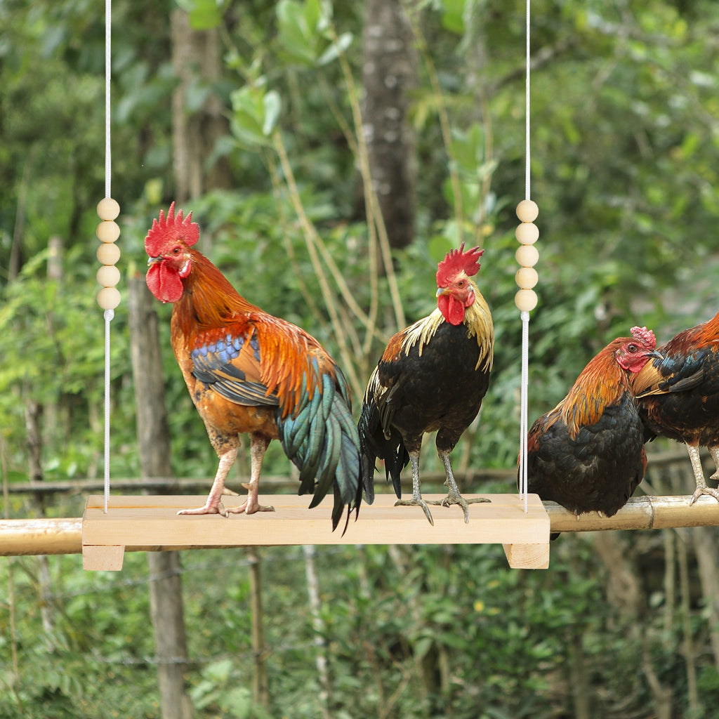 Chicken Swing Perch Toy, Natural Wooden Hanging Ladder with Rounded Edges for Hens and Roosters, 1-Piece Coop and Aviary Climbing Accessory