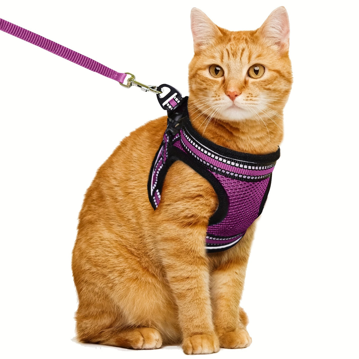 Cat Harness and Leash Set with Reflective Strip, Adjustable Soft Vest for Supervised Kitten and Cat Walks, S or M in Five Color Options