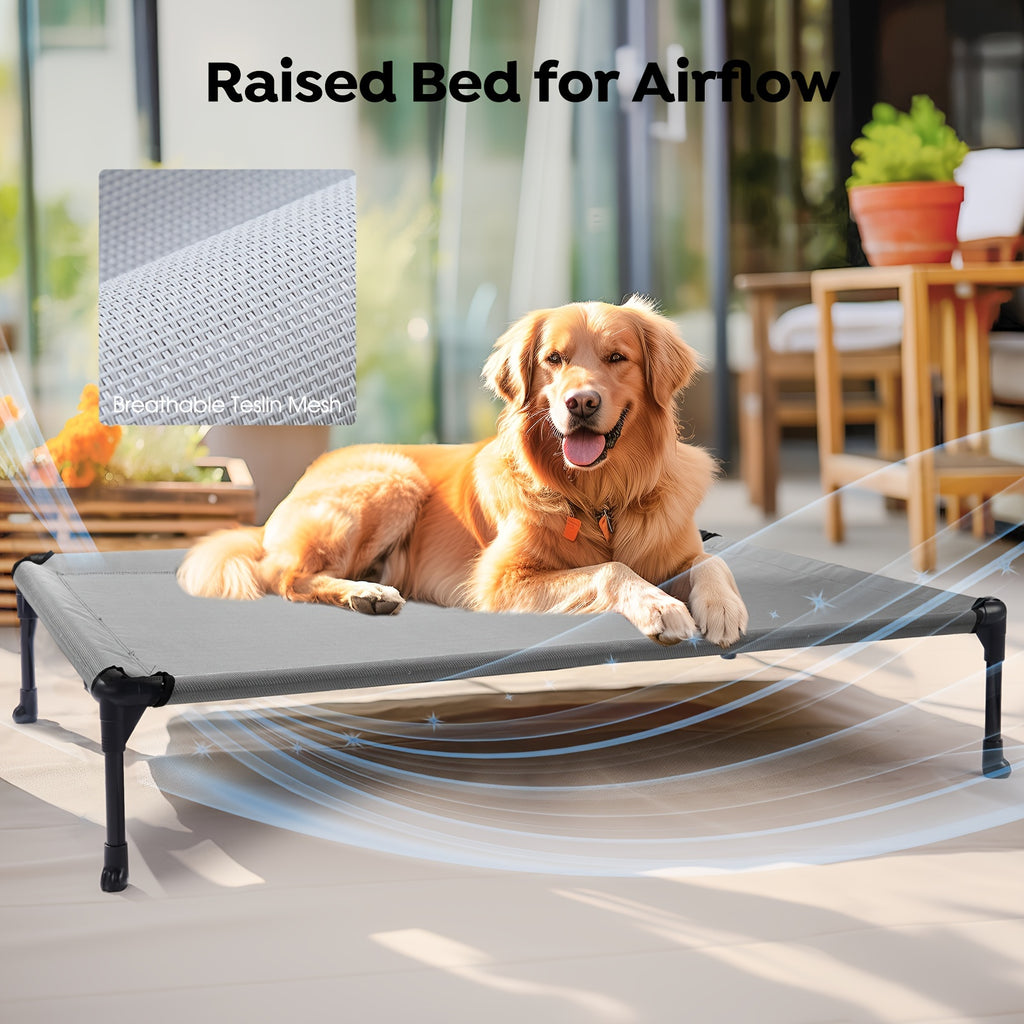 Elevated Dog Bed 2 Pack for Large Dogs, 42 x 30 Inch Breathable Mesh Raised Cots with Non-Slip Feet, Tool-Free Assembly for Indoor, Patio and Camping