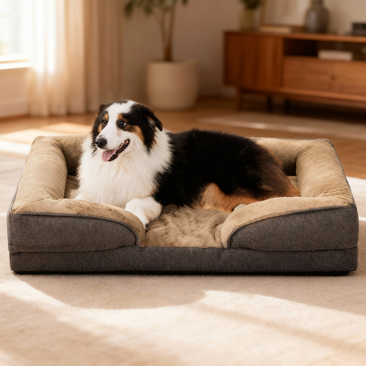 Egg Crate Foam Dog Bed with Removable Washable Cover, Orthopedic Pet Cushion for Small to Large Dogs, Gray Brown and Blue Options in XS to L
