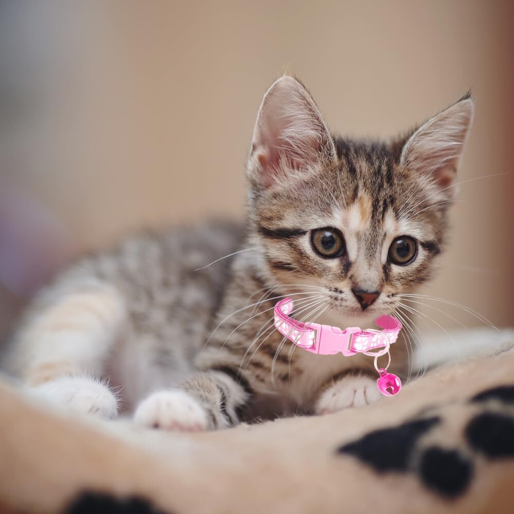 Cat Collars with Bells 38 Pack, Adjustable Reflective Paw Print Pet Collar Set in Assorted Colors for Cats and Small Dogs, Buckle Closure