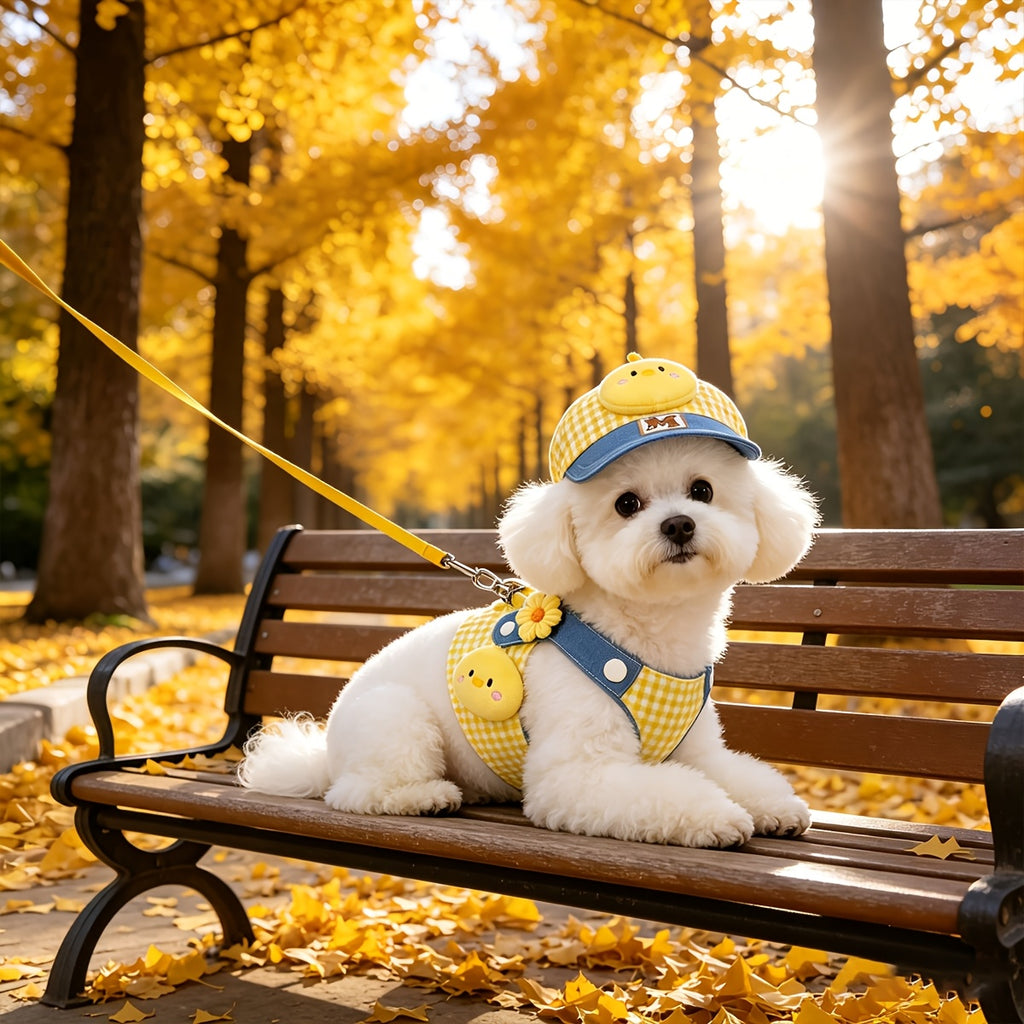 Plaid Dog Harness and Leash Set with Matching Visor Hat, Yellow Gingham Adjustable Mesh Chest Vest for Small to Medium Dogs, XS-XL Walking Outfit