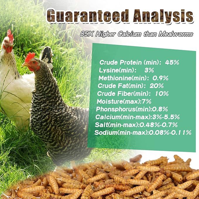 Bulk Chicken Grubs, Dried Black Soldier Fly Larvae Treats in 10, 20 or 40 lb Sizes for Backyard Chickens, Ducks and Quail Feeding Routines