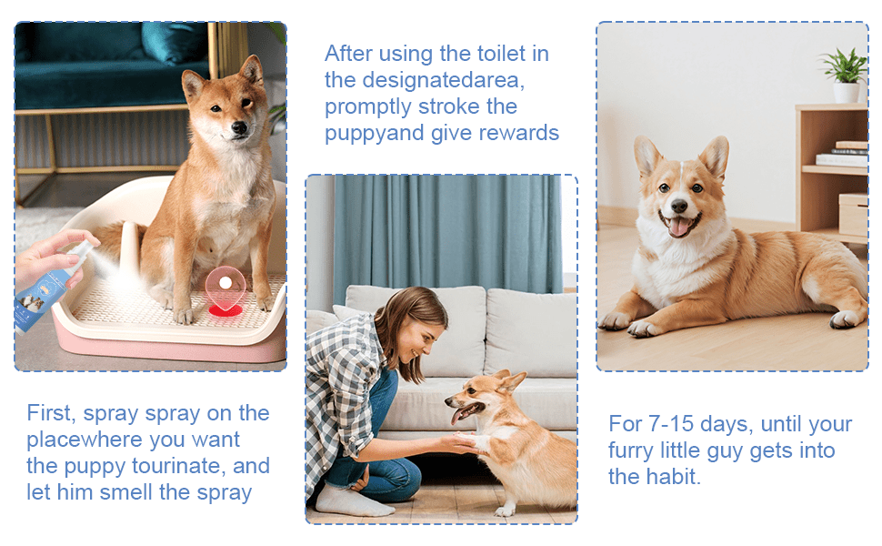 Puppy and Kitten Potty Training Spray, Indoor Pet House Training Aid in Spray Bottles for Consistent Toilet Routines, 2 or 4 Piece Pack Options