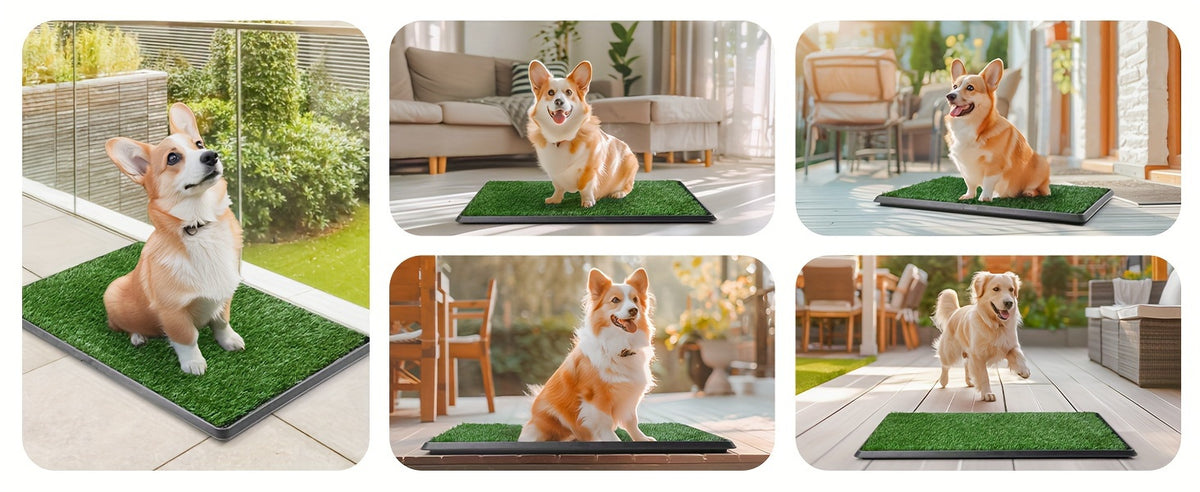 Indoor Dog Potty with Artificial Grass, Washable Puppy Pee Pad and Tray, Portable Toilet System for Small Dogs Under 20 lbs, 20 x 25 or 20 x 30 Inches