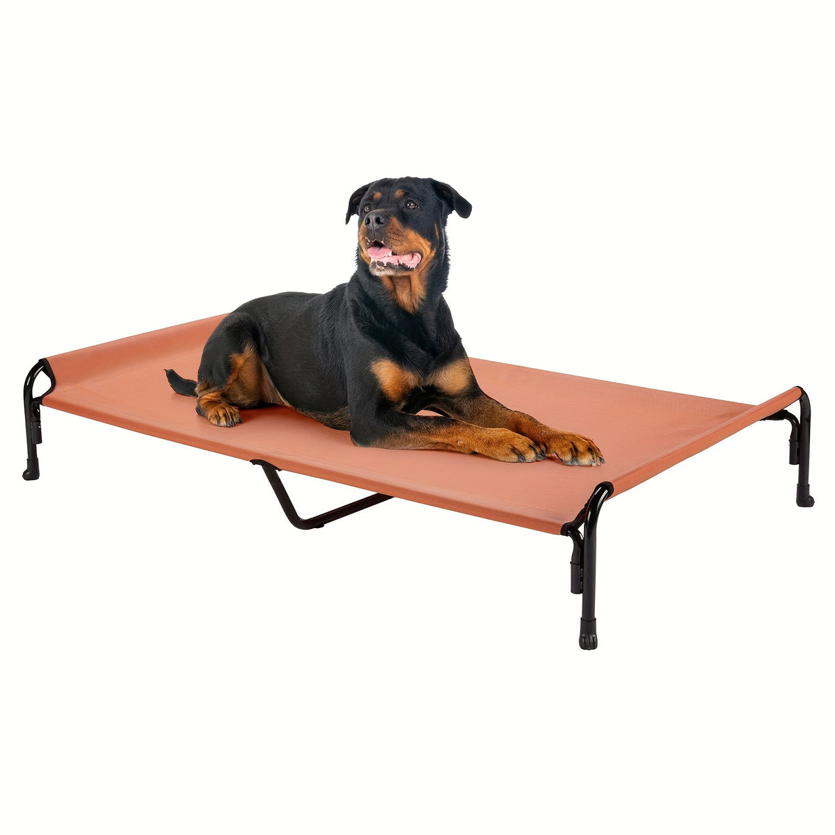 Elevated Dog Bed with Sloped Headrest, Breathable Raised Pet Cot in M to XXL Sizes for Indoor Lounging, Outdoor Rest and Camping