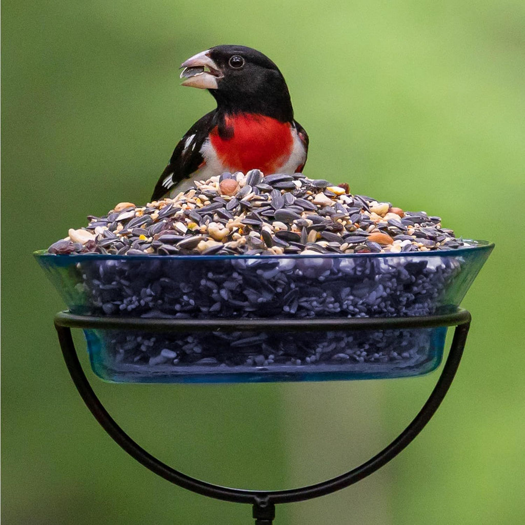 Bird Seed 10 lb Bag for Outdoor Wild Birds, Porch Hanging Feeders, Lawn Stands and Ground Feeding Stations, Year-Round Backyard Songbird Watching