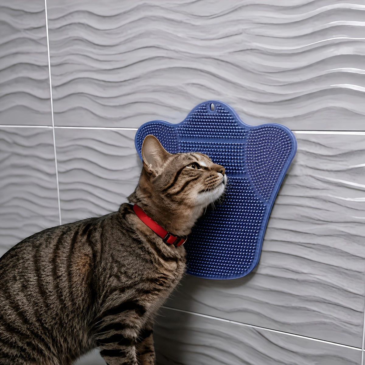 Cat Self Grooming Brush in Blue, Wall-Mounted Massage Scratching Board for Loose Fur Care, Space-Saving Everyday Pet Groomer for Indoor Cats
