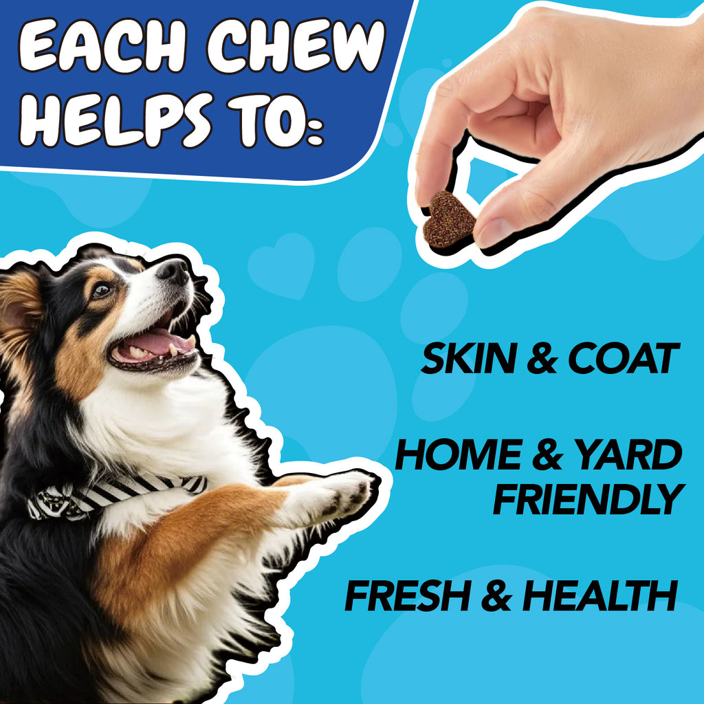 Dog Supplement Chews 4-Pack, 360 Chicken Flavor Soft Chews with Coconut Oil, Brewer's Yeast, Omega-3 and Vitamins for Canine Care Routines