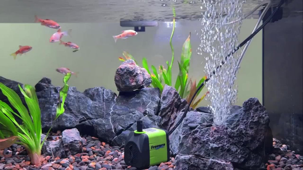 Submersible Fountain Pump 160GPH 10W with Adjustable Flow, Two Nozzles and Tubing for Aquarium, Small Pond and Hydroponic Water Circulation