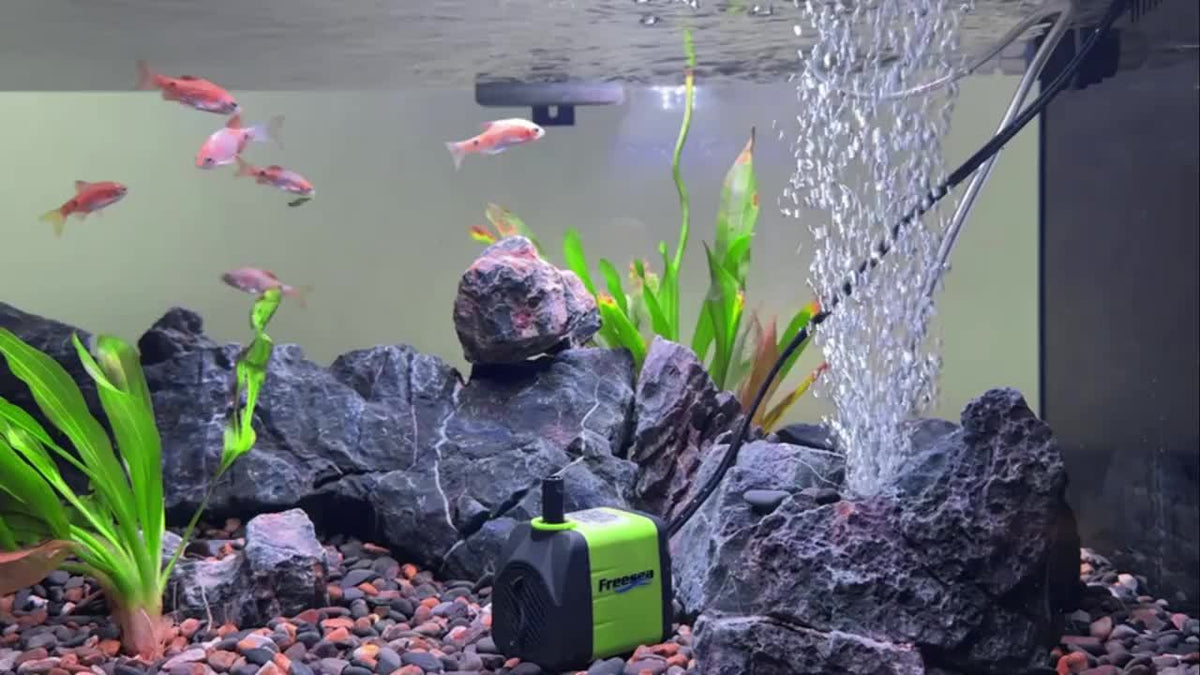 Submersible Fountain Pump 160GPH 10W with Adjustable Flow, Two Nozzles and Tubing for Aquarium, Small Pond and Hydroponic Water Circulation