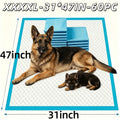 Dog Pee Pads 31 x 47 Inch, 60 Count Six-Layer Absorbent Potty Training Pads with Extra Large Coverage for Large Dogs and Indoor Pet Cleanup