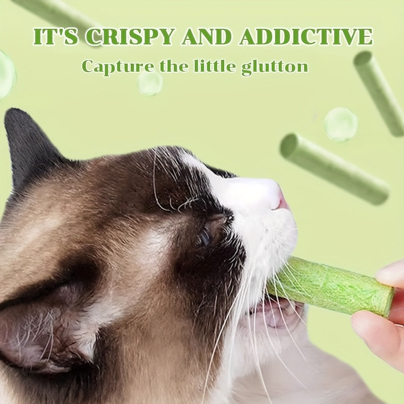 Cat Grass Snack Sticks in 15 or 30 Piece Packs, Edible Chew Treats for Supervised Cat Snack Time, Everyday Rewards and Pet Owner Gift Baskets