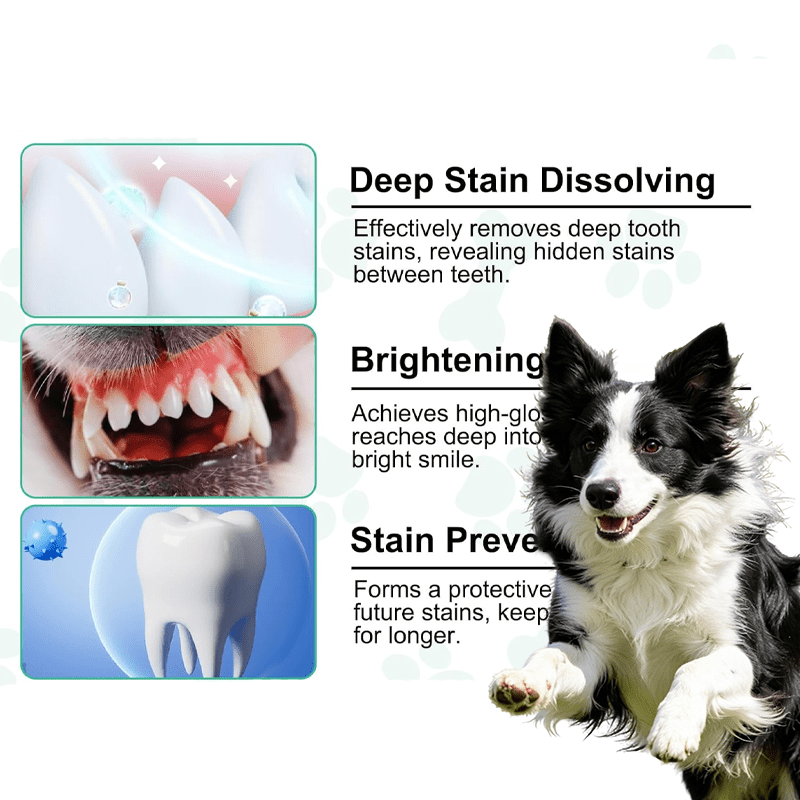 Dog Dental Care Treats with Listed Lactobacillus Helveticus, Bifidobacterium Longum, Brown Algae and Spinach Powder, 1 or 2 Unit Options