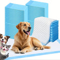 Dog Pee Pads 40 Count with Adhesive Tabs, Extra Large 31 x 47 or 32 x 47 Inch Absorbent Puppy Potty Training Pads for Indoor Floor Protection