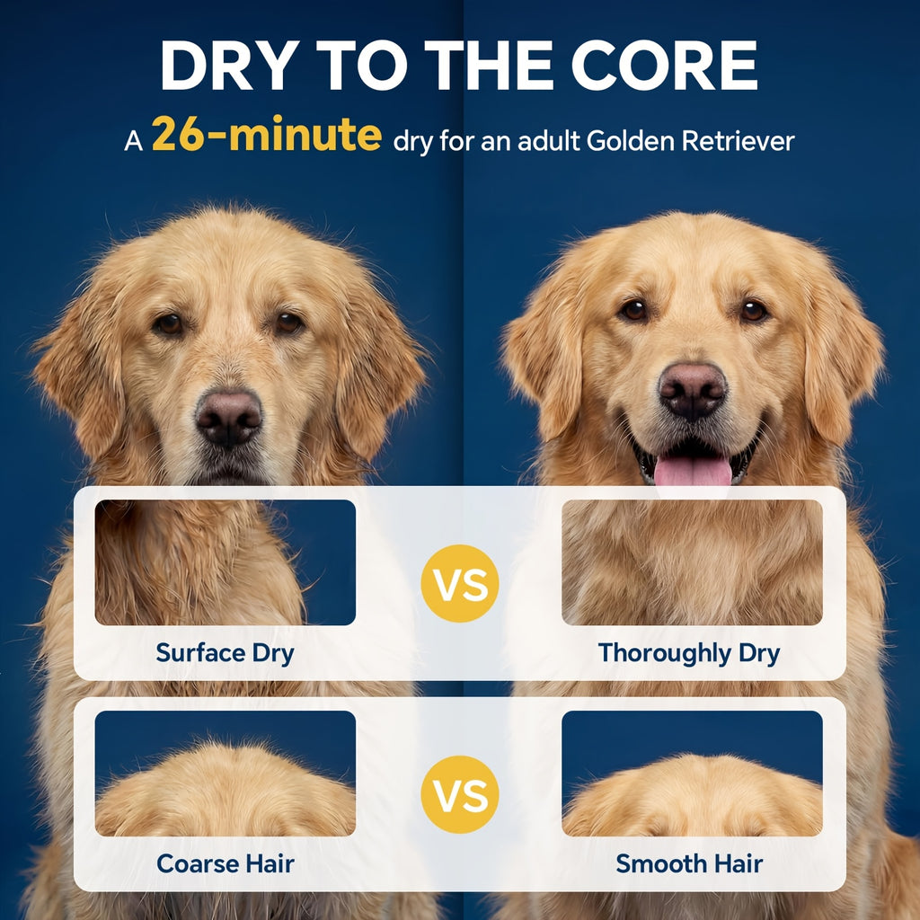 Dog Blow Dryer 2000W with Adjustable Speed and Temperature, Pet Grooming Hair Dryer with 4 Nozzles and Extendable Hose in Four Colors