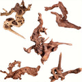 Small Aquarium Driftwood 5 Pack, 4-8 Inch Assorted Natural Wood Branches for Fish Tank Aquascaping, Reptile Terrarium Decor and Custom Habitat Layouts