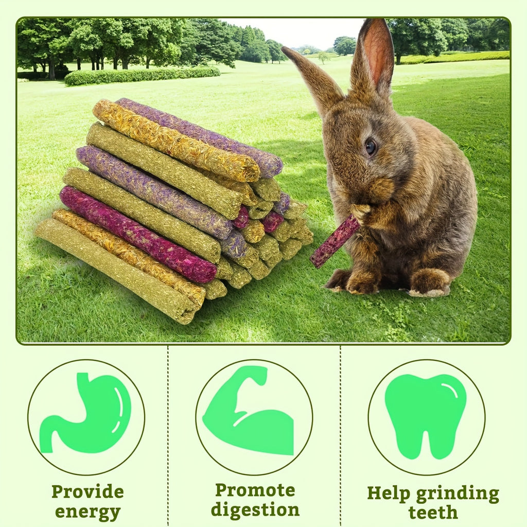 Timothy Hay Sticks 66 Pack for Rabbits and Hamsters, Small Animal Chew Treats in Two Containers with Assorted Textures for Supervised Enrichment